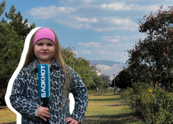 "Шикарно, но мы против сноса забора": мнение анапчан о парке «Ореховая роща» после частичного обновления