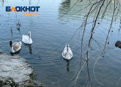 В День примерки морозного кружева в Анапе малооблачно