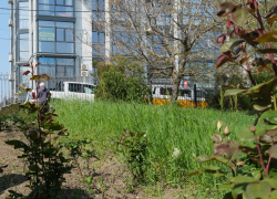 В День рождения джинсов в Анапе пасмурно и тепло