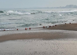 Море волнуется раз: пляжи Анапы опустели с похолоданием