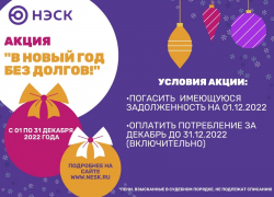 В Новый год без долгов!