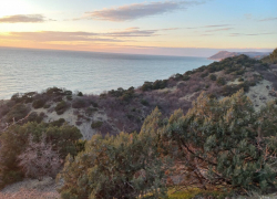 «Я никогда бы не переехала туда»: жительница Урала видела Анапу во все времена года