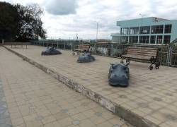 В Международный день анимации в Анапе солнца будет немного