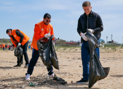  В станице под Анапой прошел экологический субботник