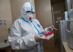 В Анапе выявили 25 новых случаев коронавируса, в крае – 1703