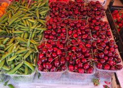 В Анапе начинает поспевать черешня: полезные свойства летней ягоды