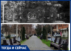 Аллея на улице Терской в Анапе: какой она была и какой стала