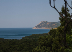 Анапчане могут помочь выбрать лозунг природному заповеднику "Утриш"