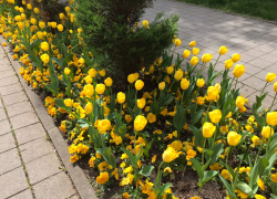 Гороскоп для анапчан с 24 по 30 апреля: Близнецам надо быть на позитиве