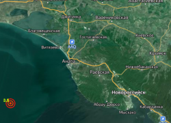 «Хорошо тряхануло»: Анапчане поделились эмоциями от утреннего землетрясения