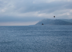 В день пирожков с малиновым вареньем в Анапе возможен дождь