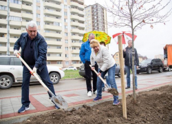 К озеленению сквера на бульваре Евскина приложил руку мэр Анапы