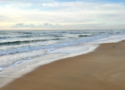 В день кошки в Анапе облачно