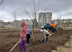 В Крещенском парке Анапы высадили новые деревья