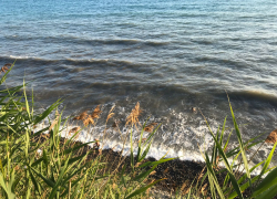 Гороскоп для анапчан с 10 по 16 июля: Скорпионы должны быть размеренны в делах