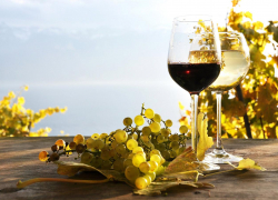 В Анапе пройдут «Дни вин Краснодарского края»