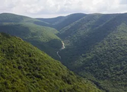 Будет ли застроен заповедник «Утриш»: анапчанка бьет тревогу