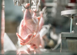 В Анапе могут стабилизироваться цены на продукцию птицеводства