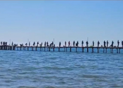 Рыба дороже мяса: десятки анапских рыбаков вышли на пирс с удочками