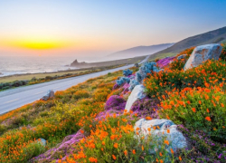 Магазин крымской косметики La Vanda: натуральные средства по выгодной цене