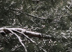 В день памяти А.С.Пушкина в Анапе станет немного теплее