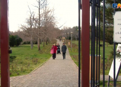 "Ломать - не строить": анапчане не согласны с ликвидацией забора рядом с Ореховой рощей 