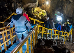 После гибели 8 человек на экскурсии в Москве анапских гидов без аттестации могут начать штрафовать