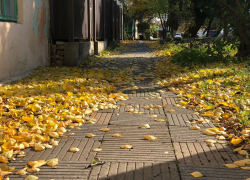 В День чистки зубов в Анапе по-прежнему пасмурно и тепло