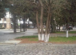 Анапчанка считает, что участок улицы Ленина без автомобилей был бы гораздо красивее