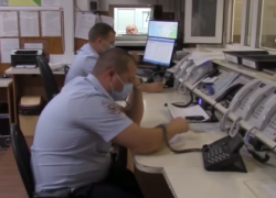 В Анапе охотник на собак угрожал женщине ружьём из-за кустов