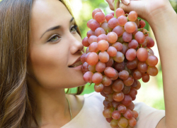 На 400 гектаров больше: Анапа в числе лидеров по закладке виноградников