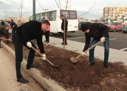 В честь 100-летия СКК «ДиЛУЧ» в Крещенском парке Анапы высадили кленовую аллею 