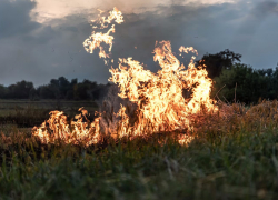 В Анапе зафиксировано 34 возгорания сухой травы