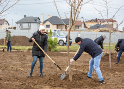 В Крещенском парке Анапы высадили более 100 деревьев