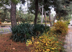 Гороскоп для анапчан с 12 по 18 декабря: Стрельцы могут потерять взаимопонимание в семье