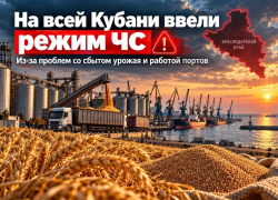На всей Кубани ввели режим ЧС из-за проблем со сбытом урожая и работой портов