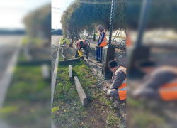 В Анапе благоустраивают аллею в честь 100-летия Роспотребнадзора