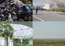 Полив деревьев стал предметом судебной тяжбы, а пляжу грозит экологическая катастрофа: что произошло в Анапе за неделю