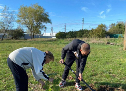 В сельских округах Анапы идёт высадка деревьев