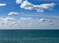 Гороскоп с 20 по 26 февраля: у Овнов могут поменяться планы