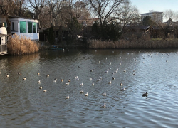 В День образования Следственного комитета РФ в Анапе пасмурно