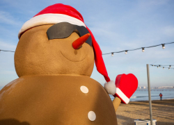 Песковик: анапский зимний символ остался без имени