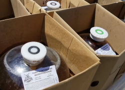 В Анапе полицейские изъяли незаконную алкогольную продукцию