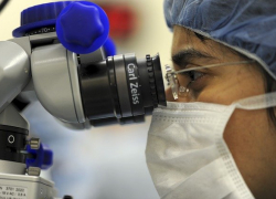 Новый закон о трансплантации: готовы ли анапчане стать донорами?