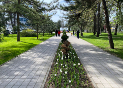 В Международный день собак-поводырей в Анапе, преимущественно, ясно