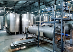 В техникумах и винодельнях Анапы проведут Единый день открытых дверей