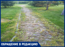 Анапчанка Лариса Ильина рассказала, что не так с Ореховой рощей 