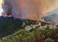 Площадь пожара движется к полсотне гектаров – огонь уже в анапском заповеднике "Утриш"
