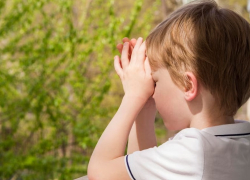 Тараканы на завтрак, плесень на обед: детский лагерь Анапы оказался в центре скандала