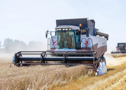 Агросектор в Анапе: названы самые востребованные профессии 